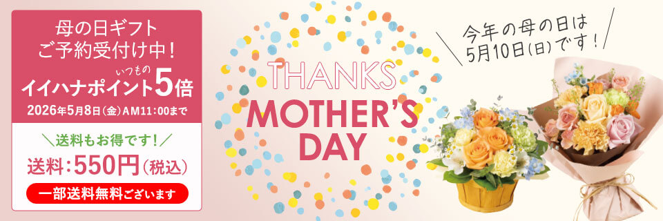 ��̓� �v���[���g�E�M�t�g���W2026