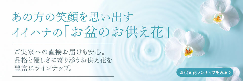 ���~�ԓ��W