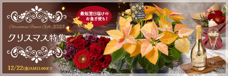 クリスマスの花・花束プレゼント・ギフト特集2023