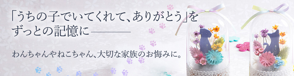 ����������l�R�����A�y�b�g�̂�����݂�