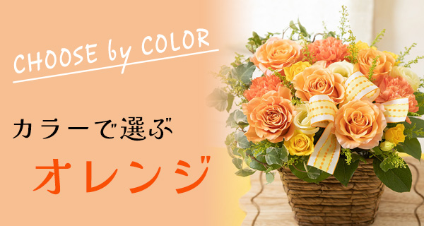 オレンジ×イエロー オレンジフラワーガーデン【9～11号】（関東近郊 