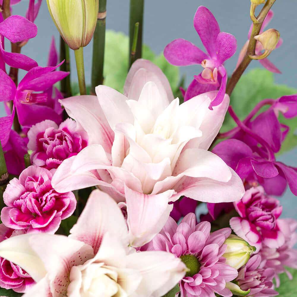 イイハナ 母の日 アレンジメント 皐月の唄 和みの花飾り 花のプレゼント ギフト