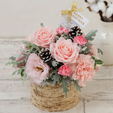 AWguBright Snow`Xmas pink`v