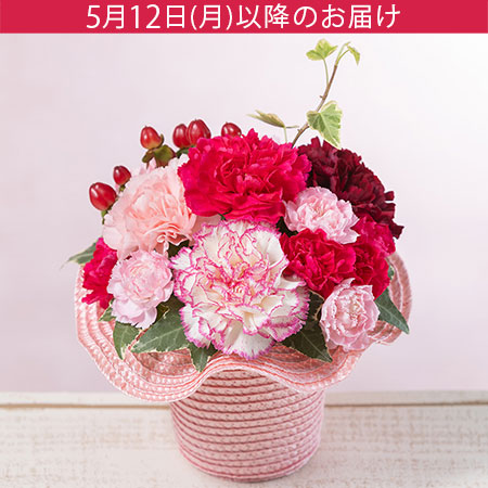 母の日　アレンジメント「マザーズ・ピンク」