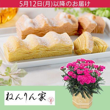 母の日　鉢植えセット「ねんりん家 春のマウントバーム 詰合せ」
