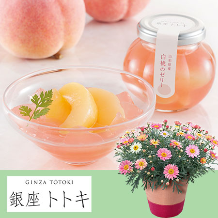 母の日　アジサイ鉢植えセット「銀座トトキ監修 山形県産白桃のゼリー」