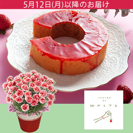 母の日 鉢植えセット「苺のワルツ あまおうバウムクーヘン」