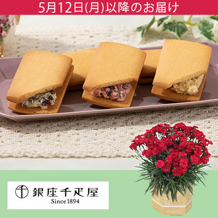 鉢植えセット「銀座千疋屋 銀座フルーツサンド」
