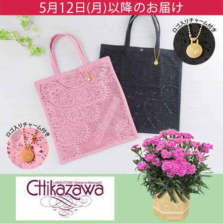 母の日 鉢植えセット「近沢レース店 レーストート/フィオレ」