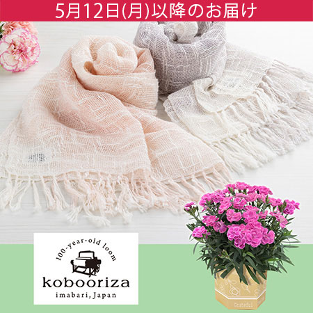 鉢植えセット「工房織座 カーネーションとパンジーストール」