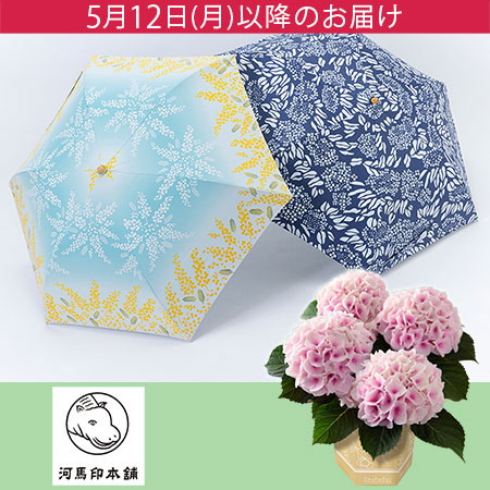 母の日 鉢植えセット「河馬印本舗 晴雨兼用折りたたみ日傘」