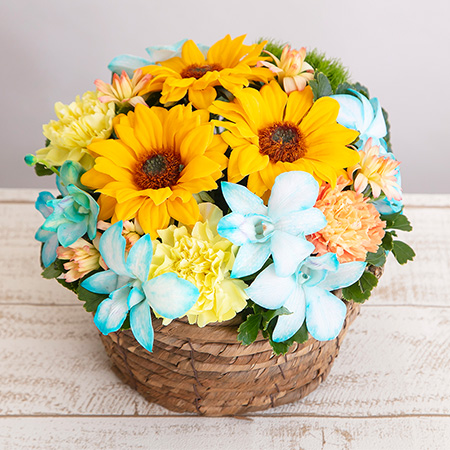 ̓@AWguHave a sunny day!v