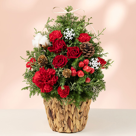 クリスマスのアレンジメント・花束特集2025】ギフトやご自宅用に
