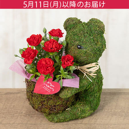 母の日 鉢植え「Sweet Bear～For Mother～」