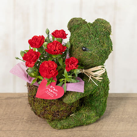 母の日　鉢植え「Sweet Bear～For Mother～」