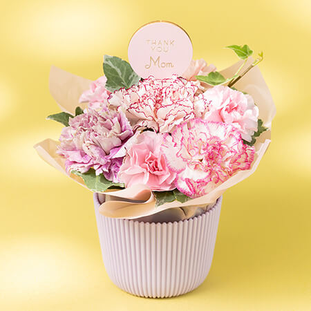 ��̓��@�A�����W�����g�u�}�U�[�Y�E�s���N�v