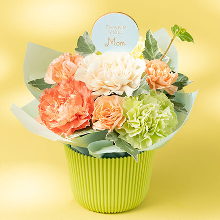 ��̓��@�A�����W�����g�u�}�U�[�Y�E�I�����W�F�v