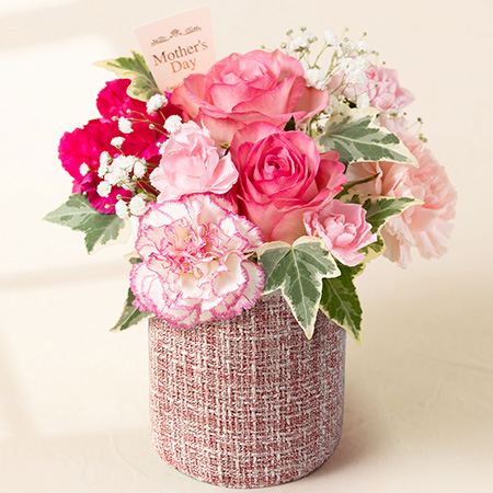 ��̓��@�A�����W�����g�u�}�U�[�E�u���b�T���v