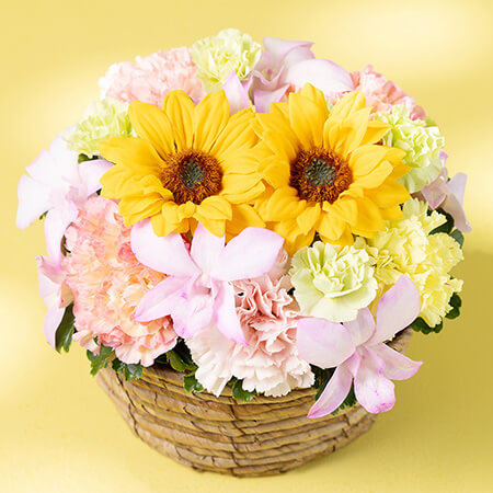 ��̓��@�A�����W�����g�u�X�}�C���[�E�T���V���C���v