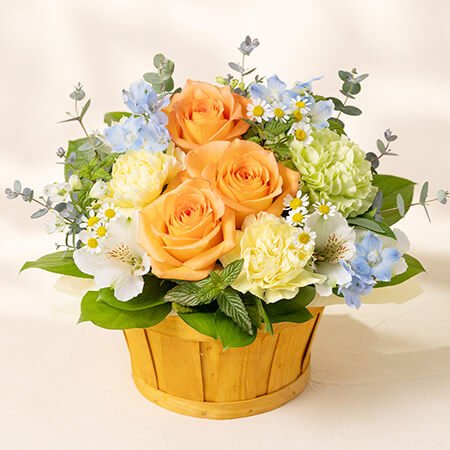 母の日　アレンジメント「ナチュラル・シャイン」