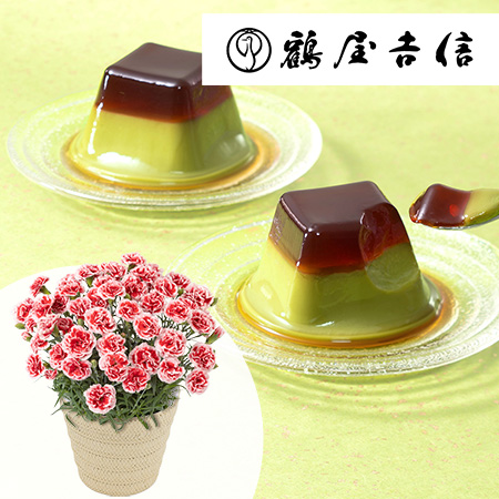 母の日　鉢植えセット「京菓匠鶴屋吉信　黒糖わらび抹茶プリン」