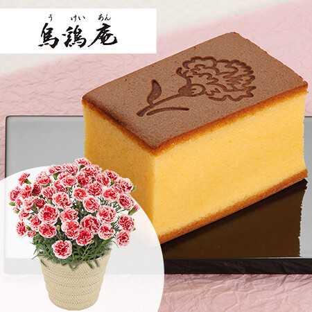 ��̓��@���A���Z�b�g�u�G�{���@�G���{�����Ă���v