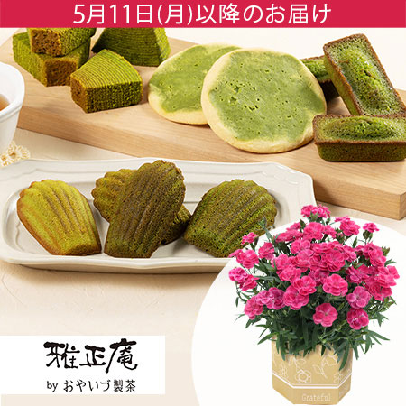 母の日　鉢植えセット「雅正庵　抹茶スイーツ詰め合せ」