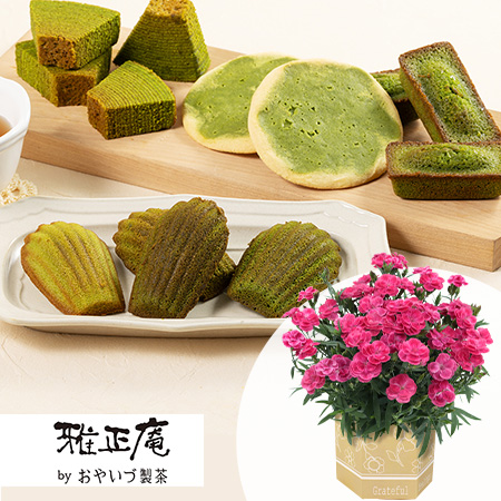 母の日　鉢植えセット「雅正庵　抹茶スイーツ詰め合せ」