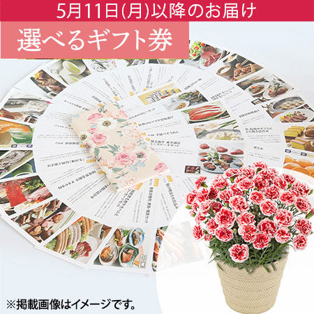 母の日　鉢植えセット「選べるグルメギフト券」