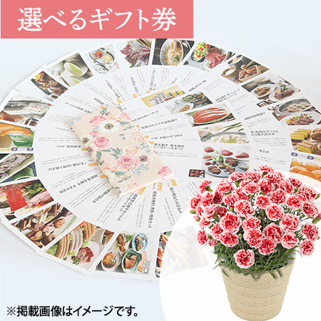 ��̓��@���A���Z�b�g�u�I�ׂ�O�����M�t�g���v