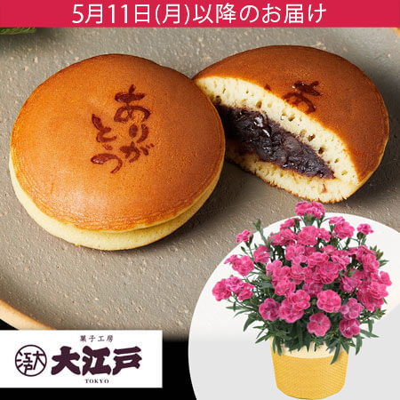 母の日 鉢植えセット「大江戸　ありがとうどらやき」