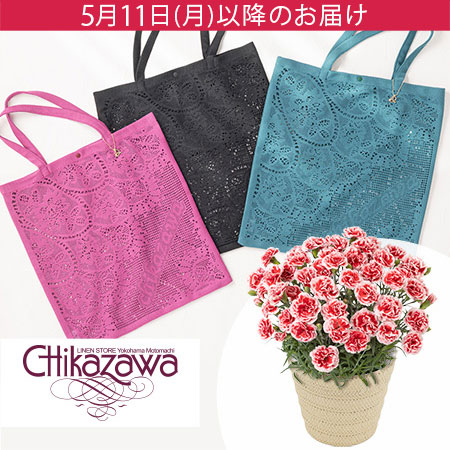 母の日　鉢植えセット「近沢レース店レーストート」