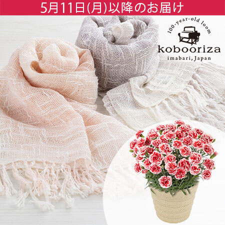 母の日　鉢植えセット「工房織座 カーネーションとパンジーストール」