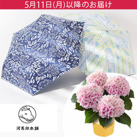 母の日　鉢植えセット「河馬印本舗 晴雨兼用折りたたみ日傘」