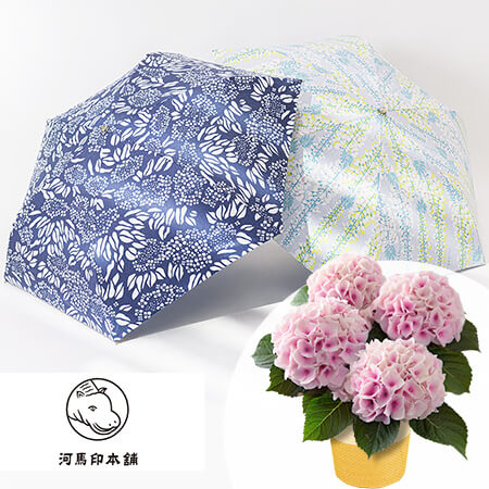 母の日　鉢植えセット「河馬印本舗 晴雨兼用折りたたみ日傘」