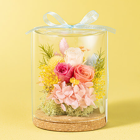 ��̓��@�v���U�[�u�h�t�����[�u�����V�[�E�h�[���v