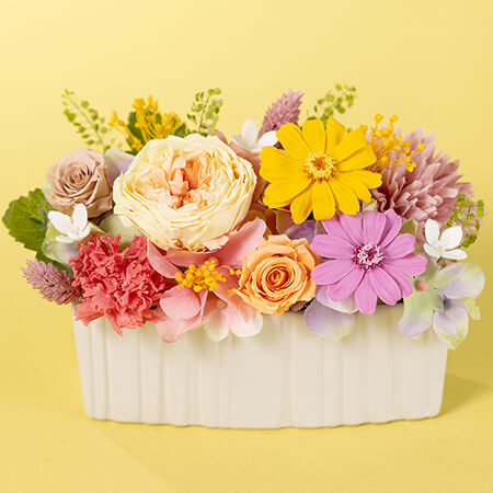 ��̓��@�v���U�[�u�h�t�����[�u�A���\���C���`�z���܂�`�v