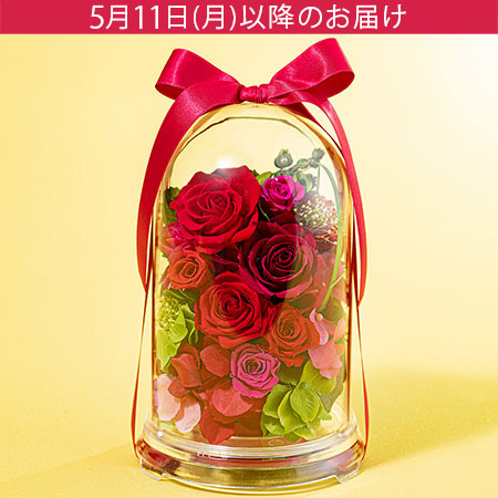 母の日　プリザーブドフラワー「グランドーム～ルビー～」