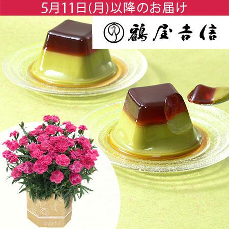 母の日　鉢植えセット「京菓匠鶴屋吉信　黒糖わらび抹茶プリン」
