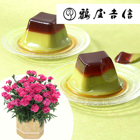 母の日　鉢植えセット「京菓匠鶴屋吉信　黒糖わらび抹茶プリン」