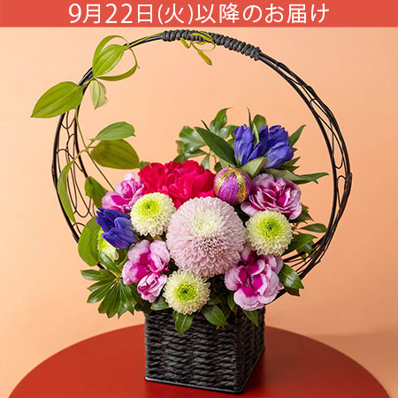 敬老の日 アレンジメント「花まどか」