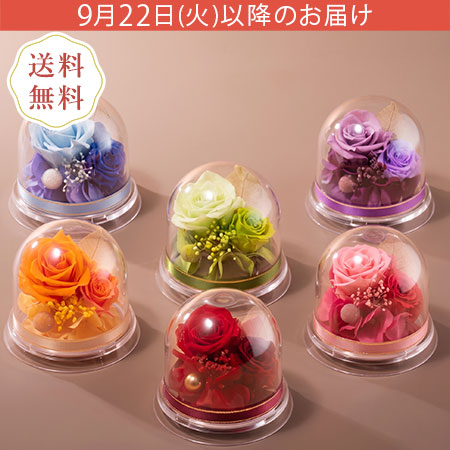 敬老の日 プリザーブドフラワー「ハピネス・ドーム」