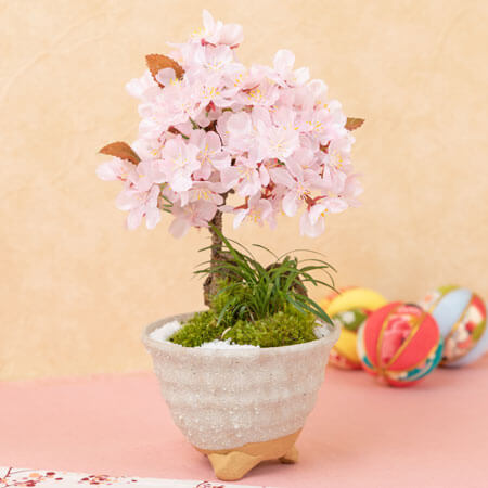 人気の鉢植え 寄せ植えのプレゼント イイハナ ドットコム