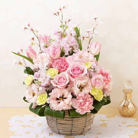 AWguClassy Spring`炭t`v