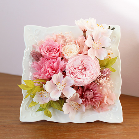 �v���U�[�u�h�t�����[�u�����`MIO�`�v