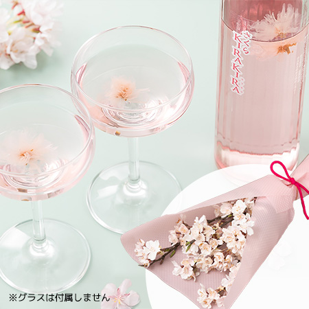 �ԑ��Z�b�g�u�₽���炷 �k���{�X�@������KIRAKIRA�v