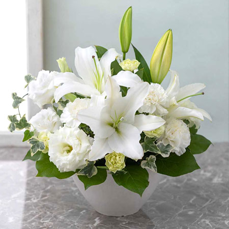 お盆の花 21 イイハナ