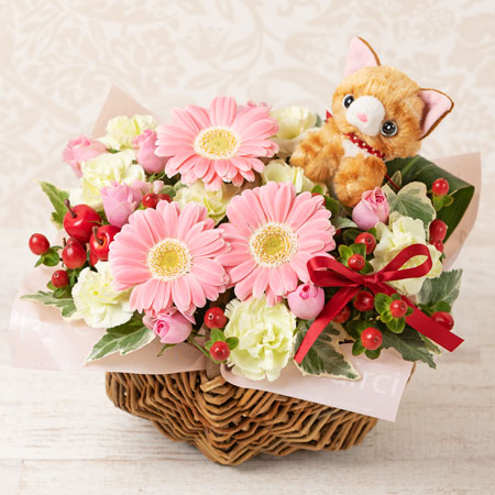 ガーベラの花のプレゼント お花の種類で選ぶ イイハナ 並び順 名前順