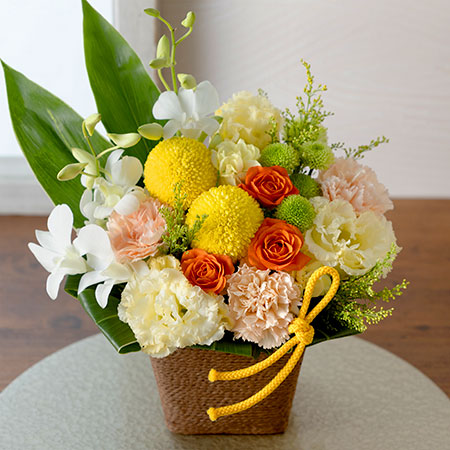 プリザーブドフラワー マム 菊 花材セット マム(菊・キク)の花のプレゼント・フラワーギフト｜お花の種類で選ぶ