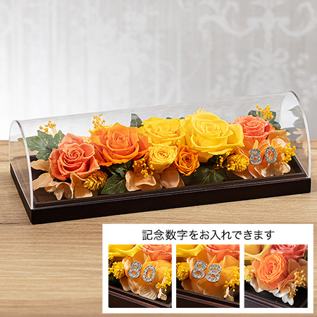 �u�O�����E�u���[���`BRIGHT ORANGE�`�v